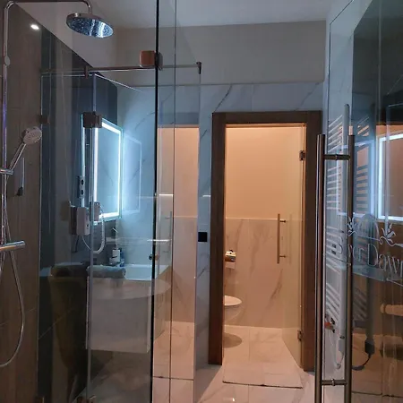 Silver Dawn Daire Segedin