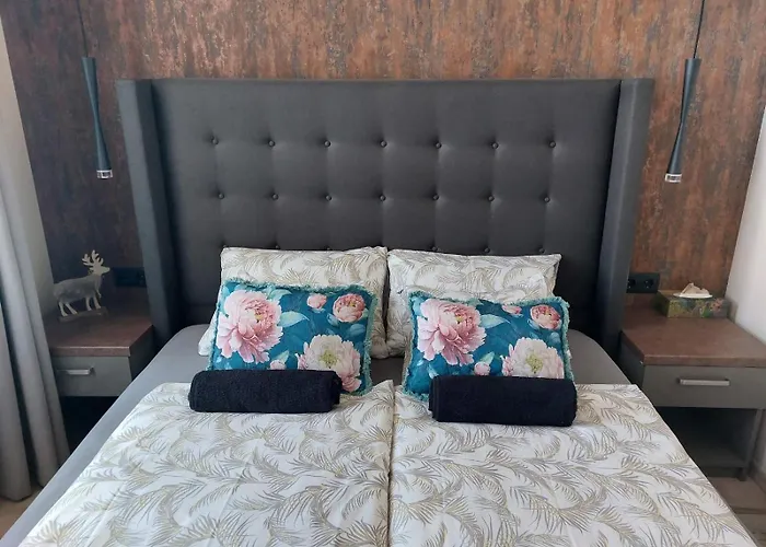 Silver Dawn Apartment Szeged